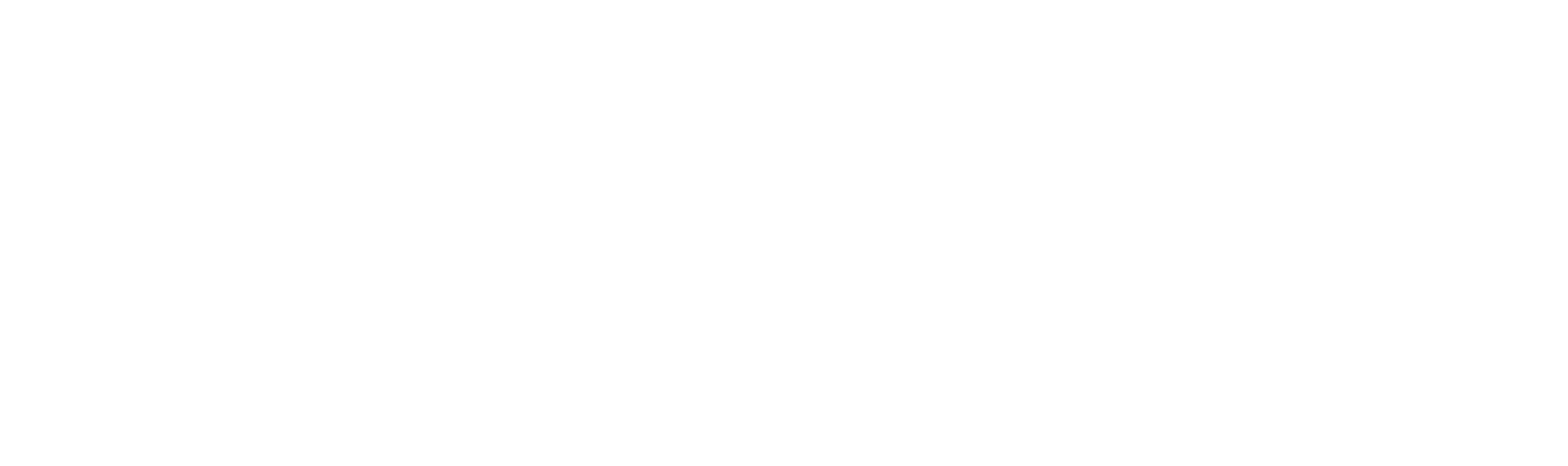 Business Improvement & Tech Implementation, LLC